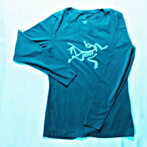Arc'teryx Tops - Arc'teryx Sz M Long Sleeve Tee
